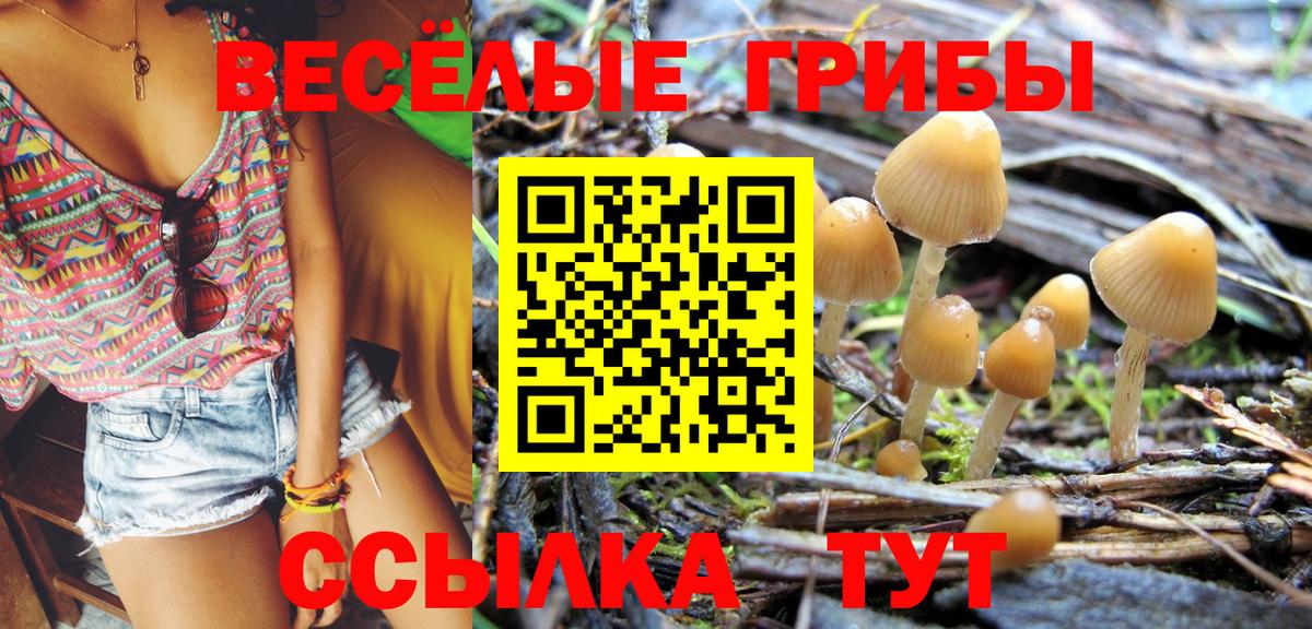 Верхняя Пышма  Галлюциногенные грибы ЛСД  Вход с VPN 