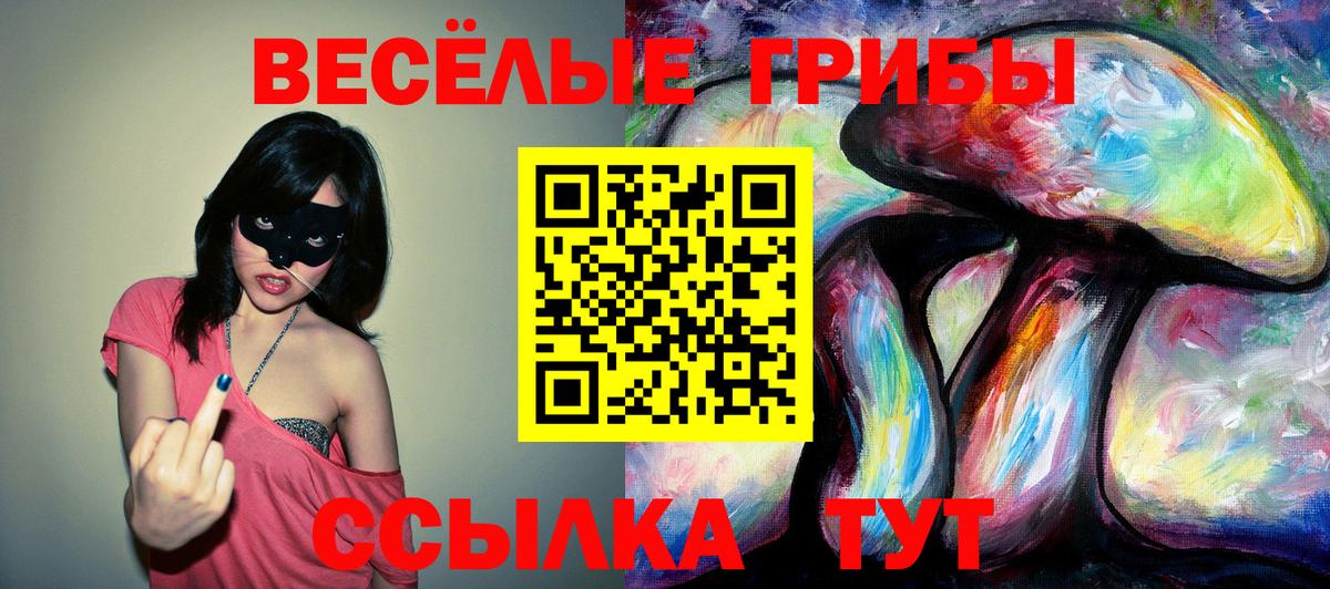 Псилоцибиновые грибы мухоморы Верхняя Пышма